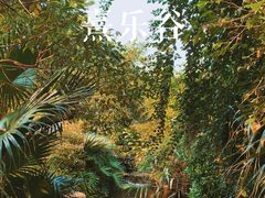 -清远熹乐谷温泉度假酒店