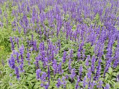 -长春公园(普阳街道)