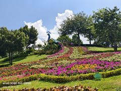 -东莞植物园