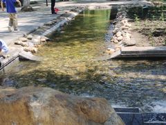 -黑龙江中医药大学