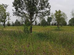 -汉长安城未央宫国家考古遗址公园