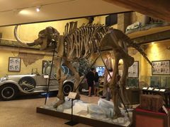 -信不信由你博物馆