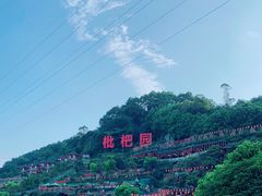 -枇杷园食为鲜火锅(南山店)