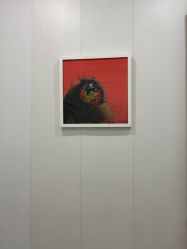 -AIST爱思特医疗美容医院