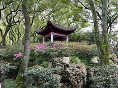 -天一阁博物院