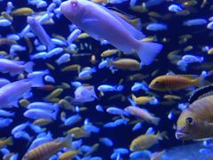 -成都浩海立方海洋公园