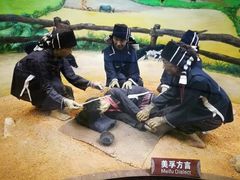-海南槟榔谷黎苗文化旅游区