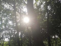 -紫金山山顶公园