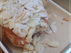 -WHEN PIGS FLY当猪飞