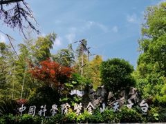 -紫金山山顶公园