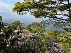 -梧桐山风景名胜区