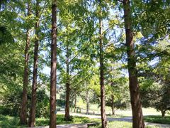 -国家植物园南园