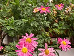 -天龙八部武侠城