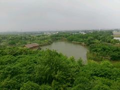 -梁鸿国家湿地公园