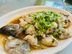 葱油鲈鱼-粤·向群饭店(龙津东路总店)