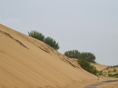 -玉龙沙湖景区