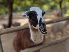 -西安秦岭野生动物园