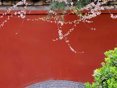 -西安市广仁寺