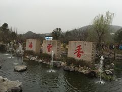 -香雪海
