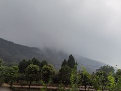 -王顺山国家森林公园