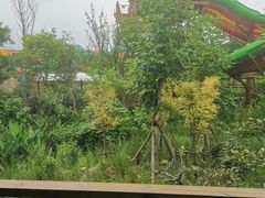 -杭州开元森泊度假乐园