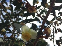 -安溪清水岩