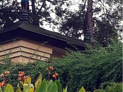 孔雀是亮点-杭州千岛湖开元度假村