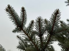-陕西省西安植物园