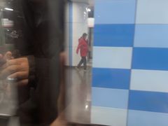 -大望路(地铁站)
