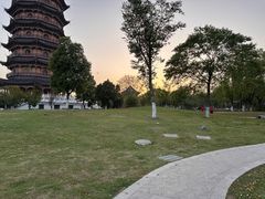 -葛仙湖公园