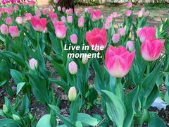 -长春公园(普阳街道)