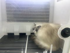 -艾贝尔宠物医院 ·中兽医·宠保定点(北门桥店)