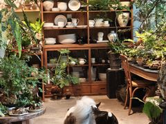 -自由生长植物工作室(深港花卉中心店)