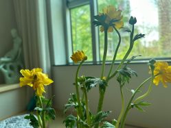 -颜动养生馆·智能艾灸·专业推拿·盐蒸