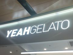 -野人先生现做冰淇淋(北京环宇荟店)