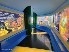 -上海昆虫博物馆