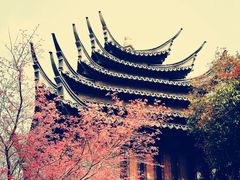 -韩湘水博园