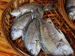 -长平老姿娘夜粥(平东一街店)