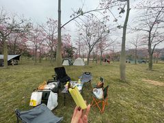 -风云岭森林公园