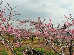 -金堂县云顶石城风景区