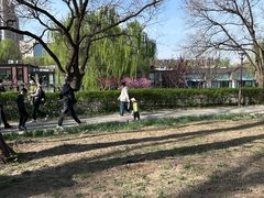 -元大都城垣遗址公园