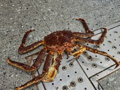 -盒马鲜生(富田新天地店)