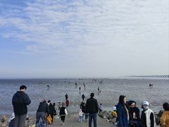 -南汇新城海滩