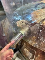 -Zoolung Zoolung动物主题公园(海信广场店)