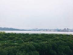 -盐洲岛