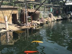-湖鲜楼