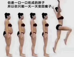 -Fundi张玉珊修身堂·indiba·BTL科技瘦身