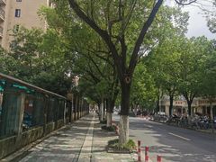 -兴隆点心店(新北街店)