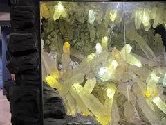 -湖南省地质博物馆