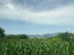 -北岐滩涂